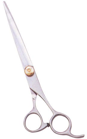 Professional Hair Cutting Scissors 